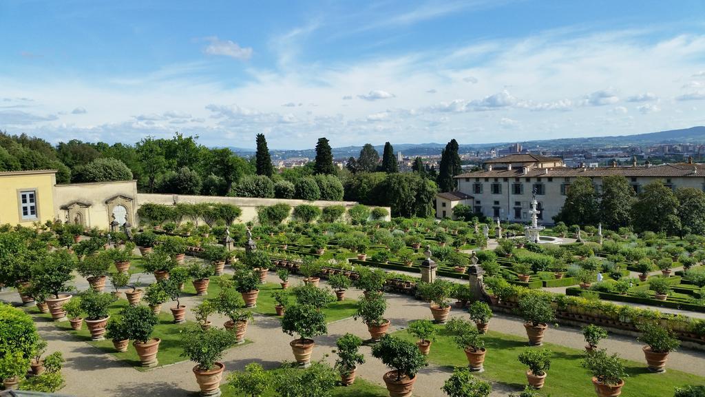 Bed and Breakfast Ulivi di Castello Florencie Exteriér fotografie