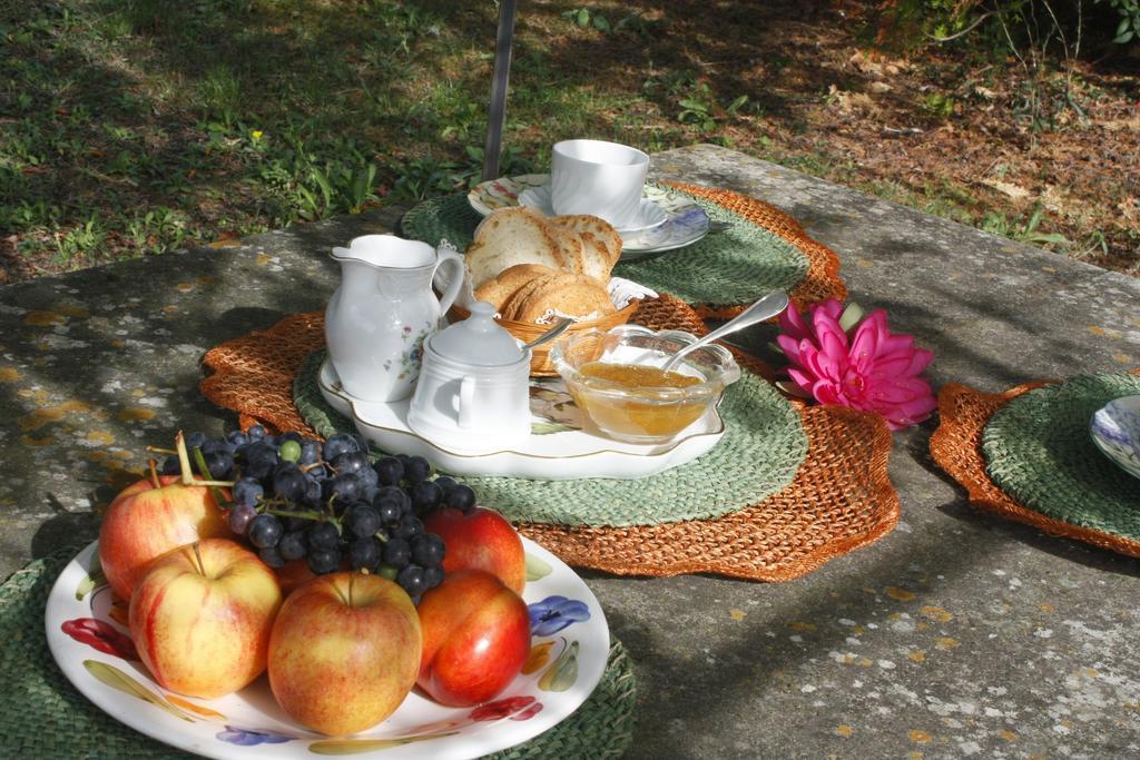 Bed and Breakfast Ulivi di Castello Florencie Exteriér fotografie
