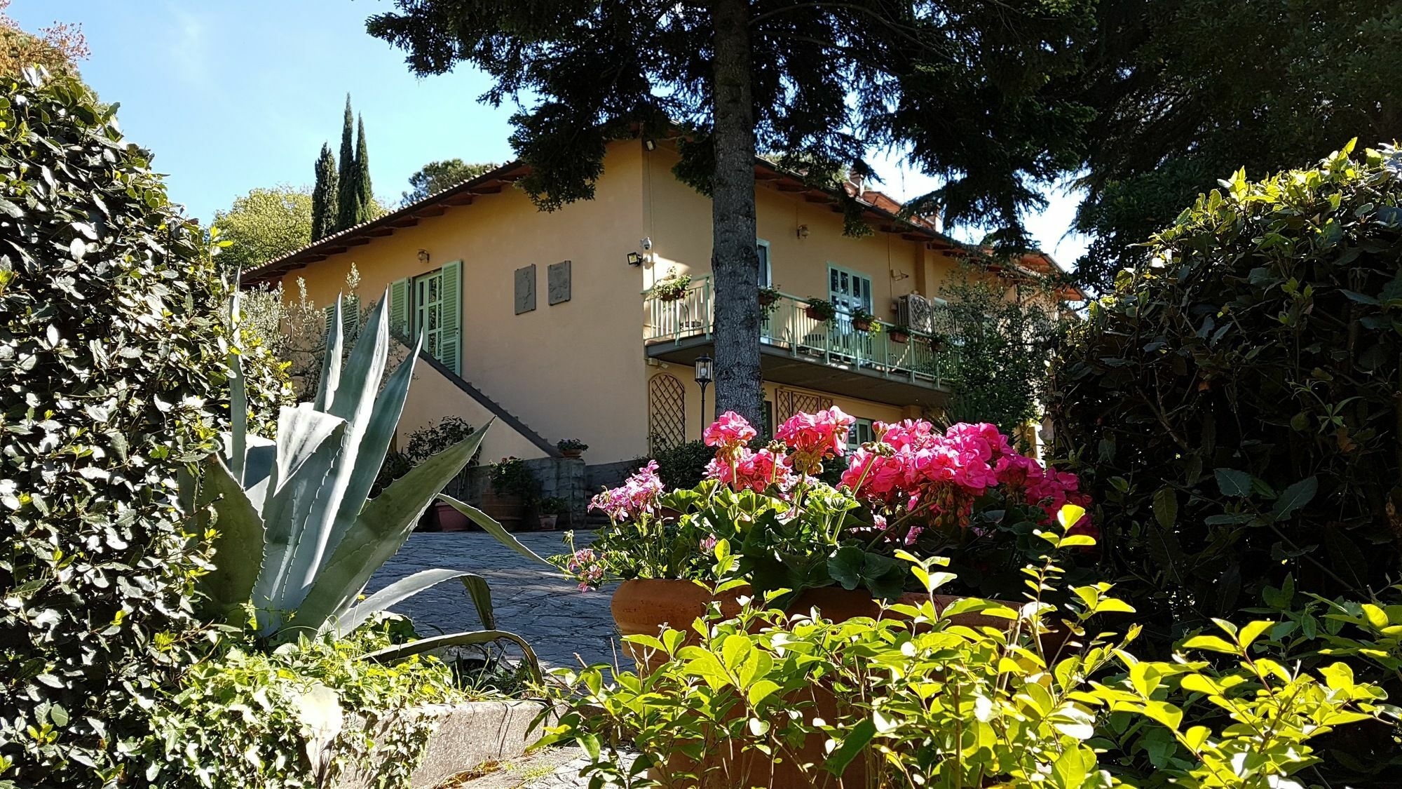 Bed and Breakfast Ulivi di Castello Florencie Exteriér fotografie